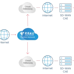 Netzwerkdiagramm zeigt die Verbindung von Standorten über das Internet und ein privates Netzwerk. SD-WAN CAE-Geräte verbinden Firmenstandorte A, B und die Zentrale.